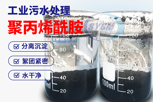 生活污水处理用聚丙烯酰胺 生活污水处理用聚丙烯酰胺